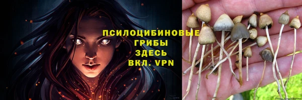 шишки Богородицк