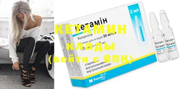 шишки Богородицк