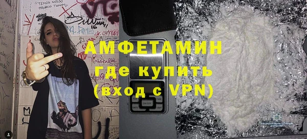 шишки Богородицк