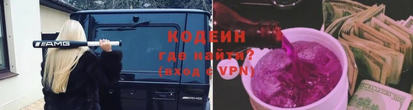 шишки Богородицк