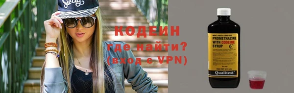 шишки Богородицк