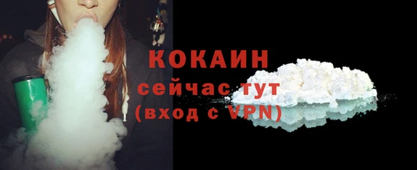 шишки Богородицк