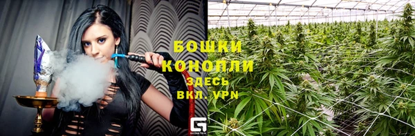 сатива Богородск