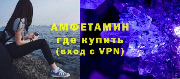 шишки Богородицк
