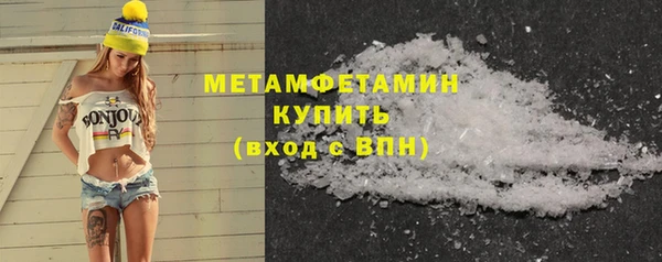шишки Богородицк