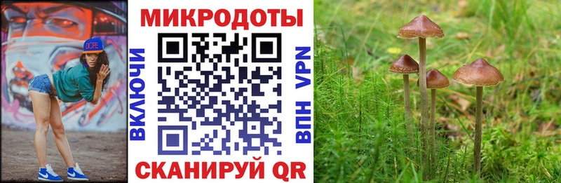 Купить  Белорецк  Галлюциногенные грибы Psilocybine cubensis 
