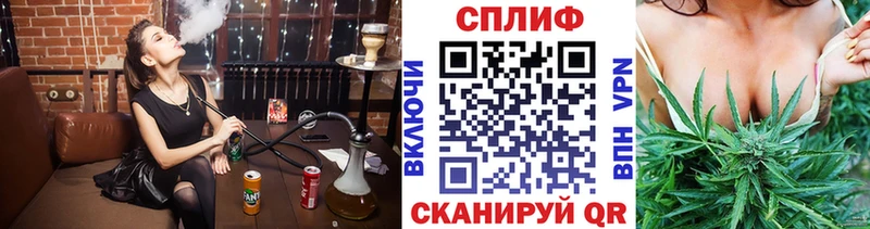 Купить  Белорецк  Каннабис ГИДРОПОН 